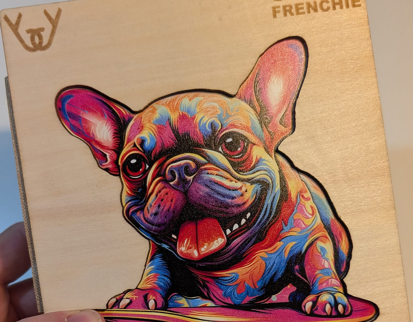 Skejťácký buldoček (Skate Frenchie)